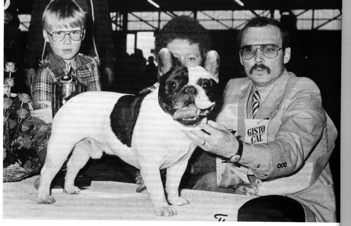 A pied French Bulldog stands on a show table with a trophy, between a young boy and a man with a moustache; a woman stands behind the dog.