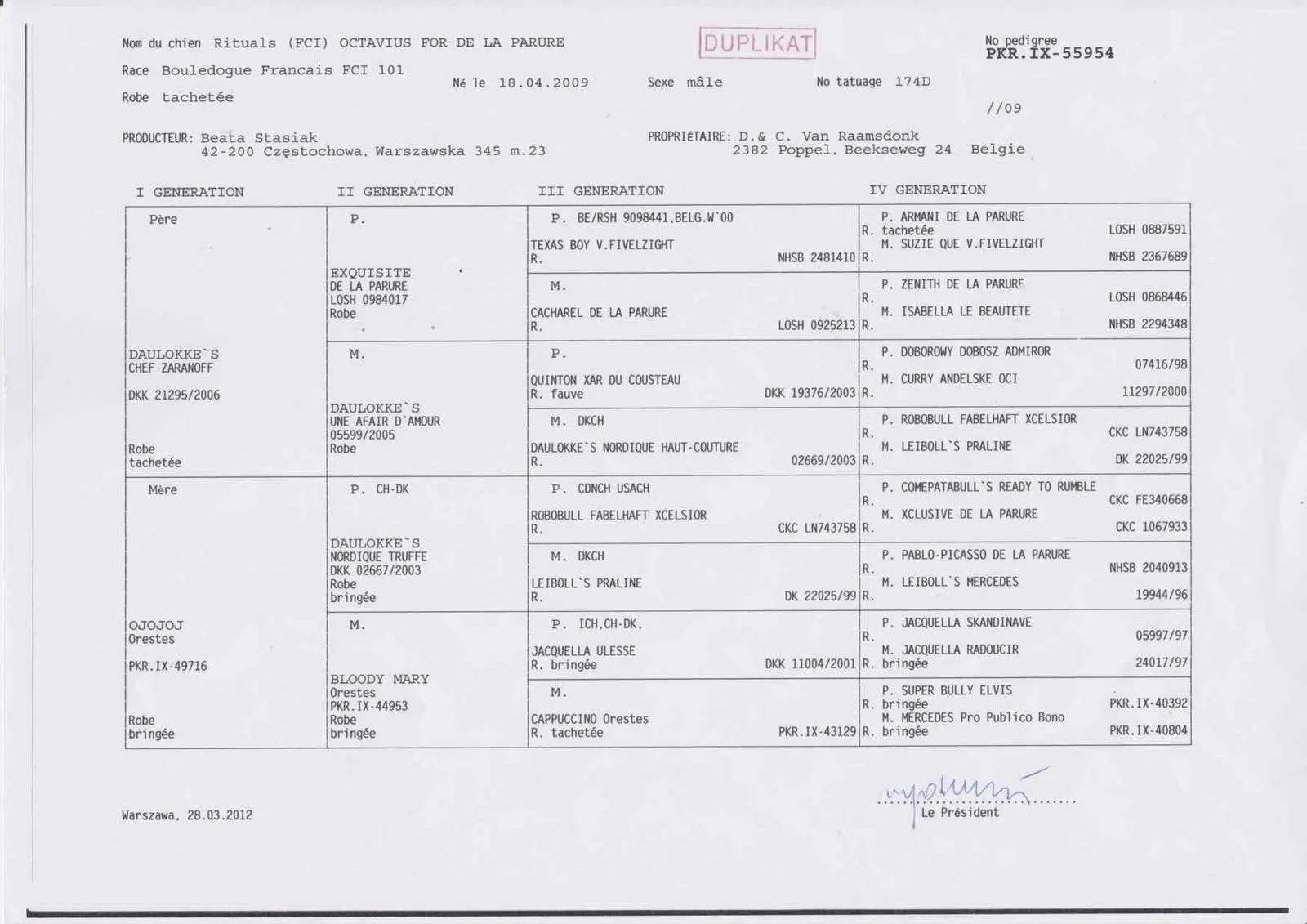 Pedigree certificate marked “Duplikat” for Rituals Octavius for De la Parure.